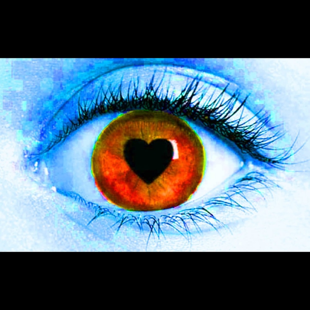 Take a peek fall in love